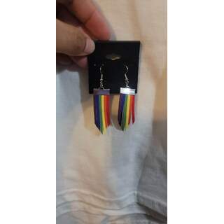 Rainbow Feather Earrings